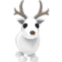Arctic Reindeer