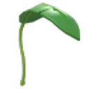 Banana Leaf Balloon