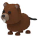 Beaver
