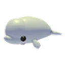 Beluga Whale