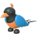 Bird of Paradise