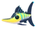 Black Marlin