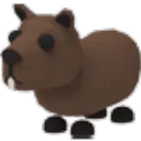 Capybara