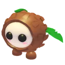 Coconut Friend