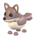Coyote