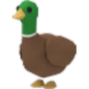 Drake