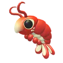 Emperor Shrimp