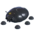 Giant Black Scarab