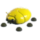 Giant Gold Scarab
