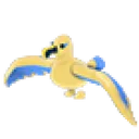 Golden Albatross