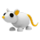 Golden Rat