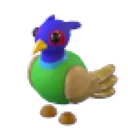 Green-Chested Pheasant
