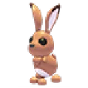 Hare