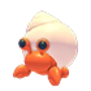 Hermit Crab