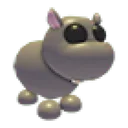 Hippo