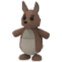 Kangaroo