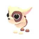 Kid Goat