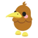 Kiwi Sticker
