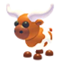 Longhorn Cow