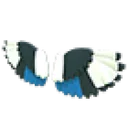 Magpie Wings