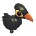 Maleo Bird