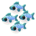 Many Mackerel