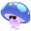 Mushroom Friend