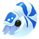 Nautilus