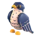 Peregrine Falcon