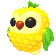 Pineapple Owl