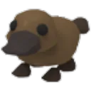 Platypus