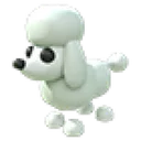 Poodle