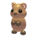 Quokka