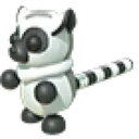 Ring-tailed Lemur
