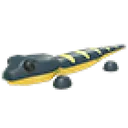 Salamander