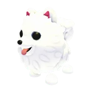Samoyed