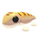 Sandfish