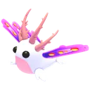 Sea Slug