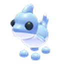 Shark Puppy