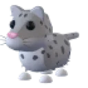 Snow Leopard