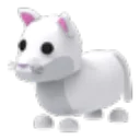 Snow Puma
