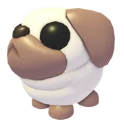 Snowball Pug