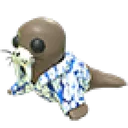 Summer Walrus