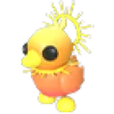 Sunrise Duckling