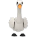 Swan