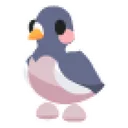 Wood Pigeon Sticker