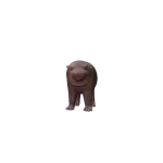 Baby Hippo