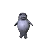 Spotted Seal