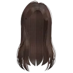 Brown Straight Long Hair