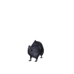 The Rat